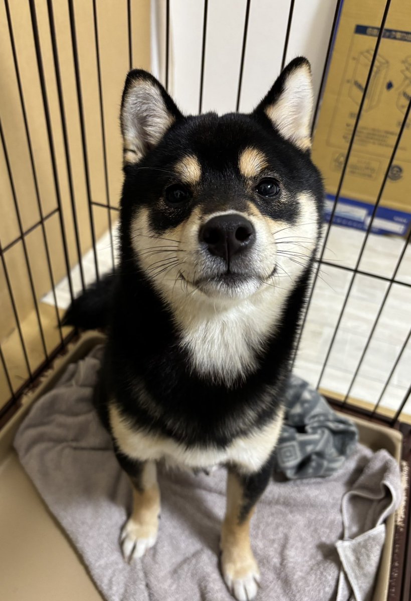 おはようございます。
週末金曜日はじまりますよ〜