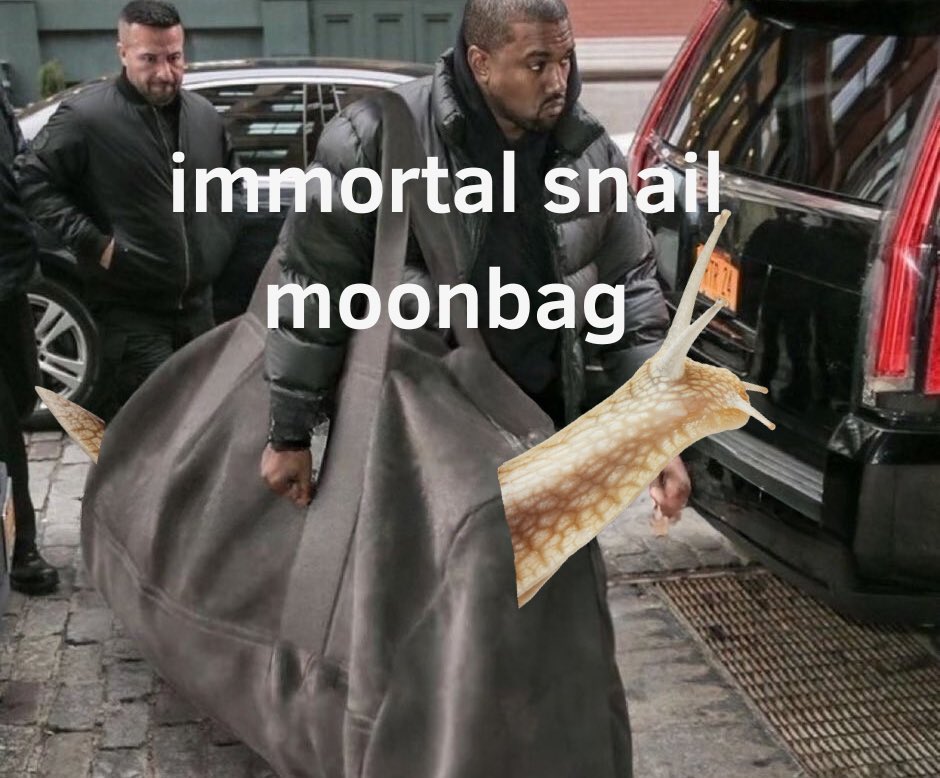 Boysen.cro 🐦‍⬛🔪 1B or ZERO tweet media