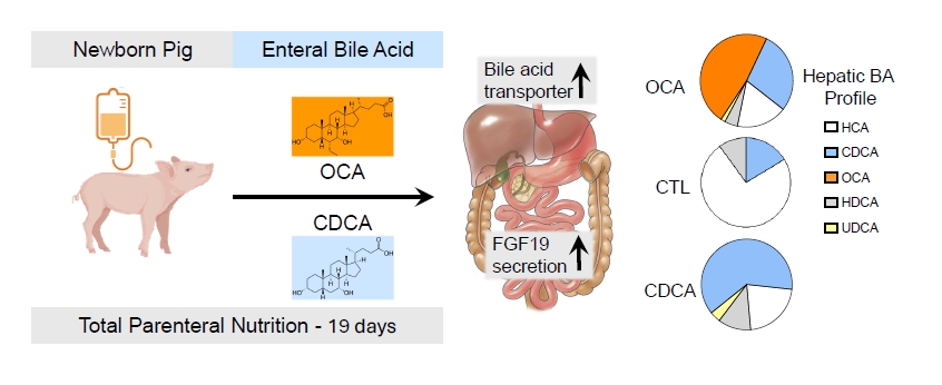 Douglas Burrin tweet media