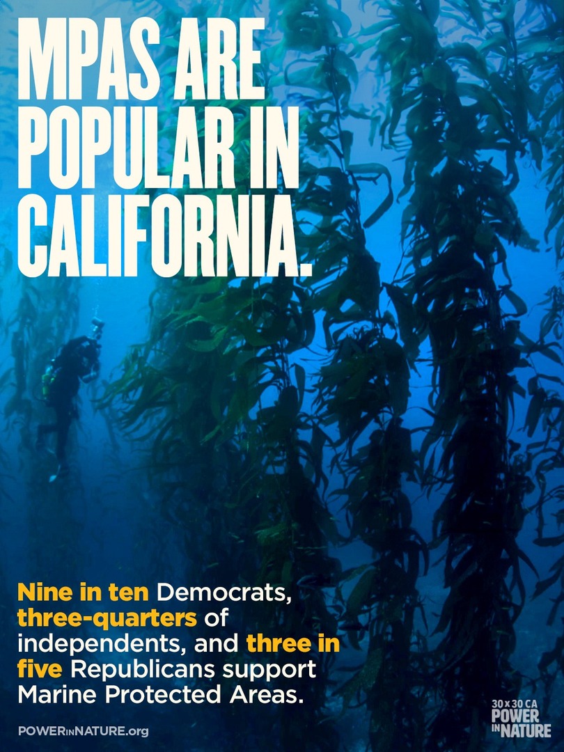 Power in Nature tweet media