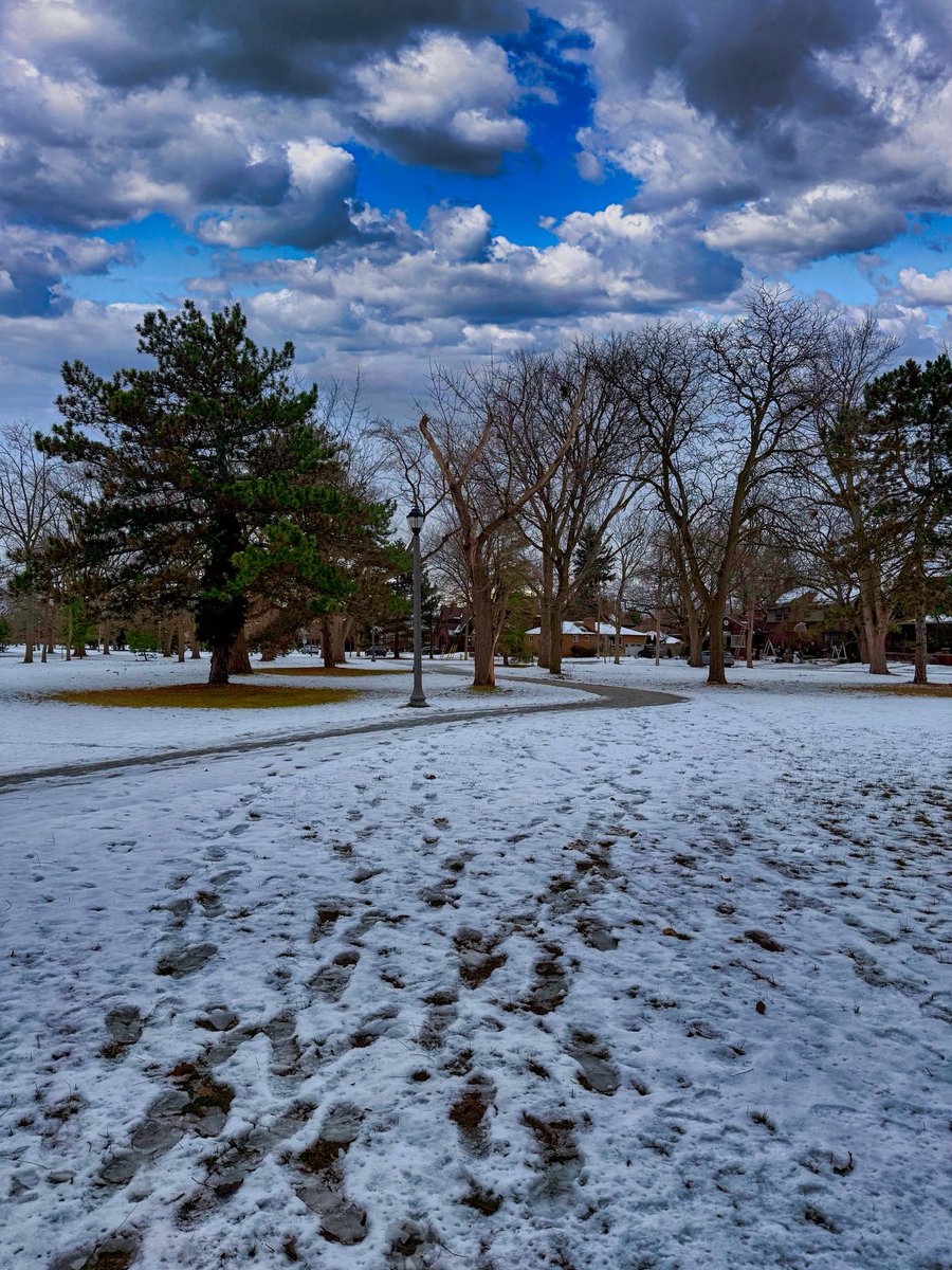10_AlEE_10's tweet photo. ❄️ 🌲 https://t.co/lxAH4nvOHx