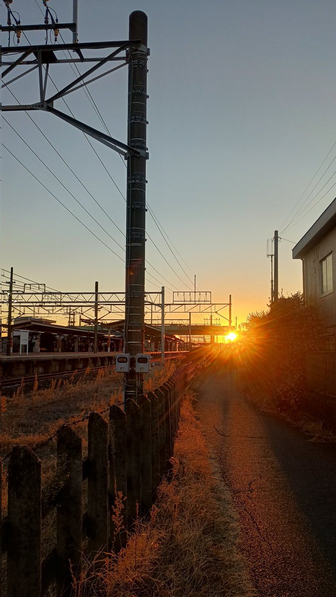 Springdolphin12's tweet image. ぷち田舎の駅までの道✨✨