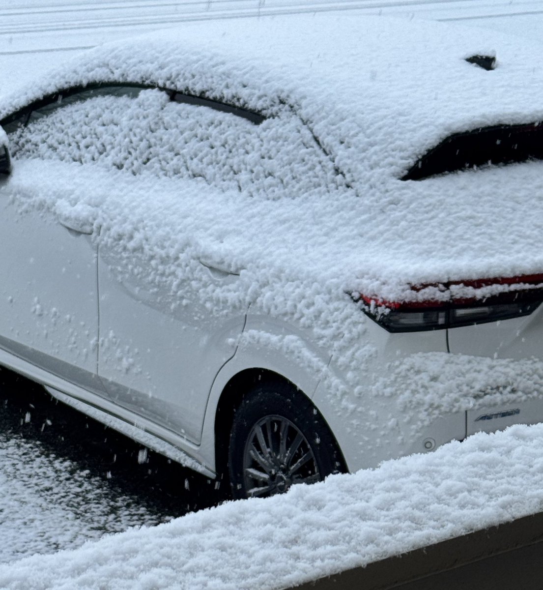 待ってたよ金曜日 おはようございます⛄️ 起きたら雪が積もってるし