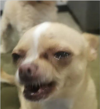 ME OLVIDÉ QUE MAÑANA SALE JINX Y AHORA ESTOY SUPER ANSIOSAAAA