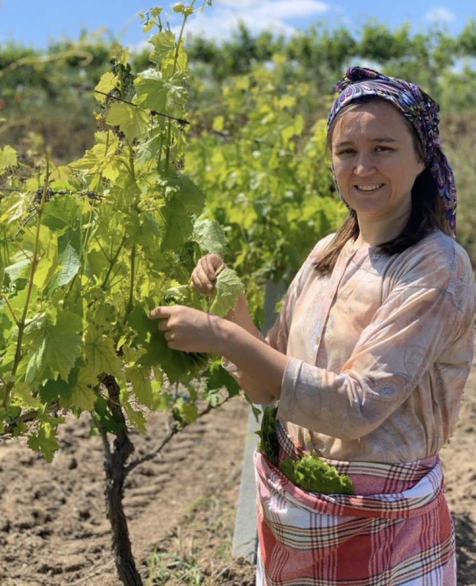 av_06_sali's tweet photo. Gülşah Durbay. Şehzadeler Belediye Başkanı. Hakkında çeşitli iftira ve algı kampanyaları başlatıldı. Yalandı, alçakçaydı ve kahpeceydi. İnsan olan üzülürdü, kahrolurdu. O da üzüldü. Kanseri nüksetti, git gide ağırlaştı. Çünkü ciddi içerledi, içine attı, üzüldü. Şimdi yoğun bakımda hayat mücadelesi veriyor. Entübe edildi, durumu ağır. Yaşattıklarınızı asla unutmayacağız, unutturmayacağız. Öbür tarafta değil, burada hesabını soracağız. Dayan Gülşah başkan, güzel ailen için dayan!