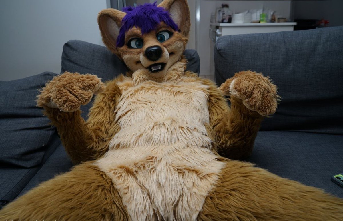 Kal Dingo tweet media