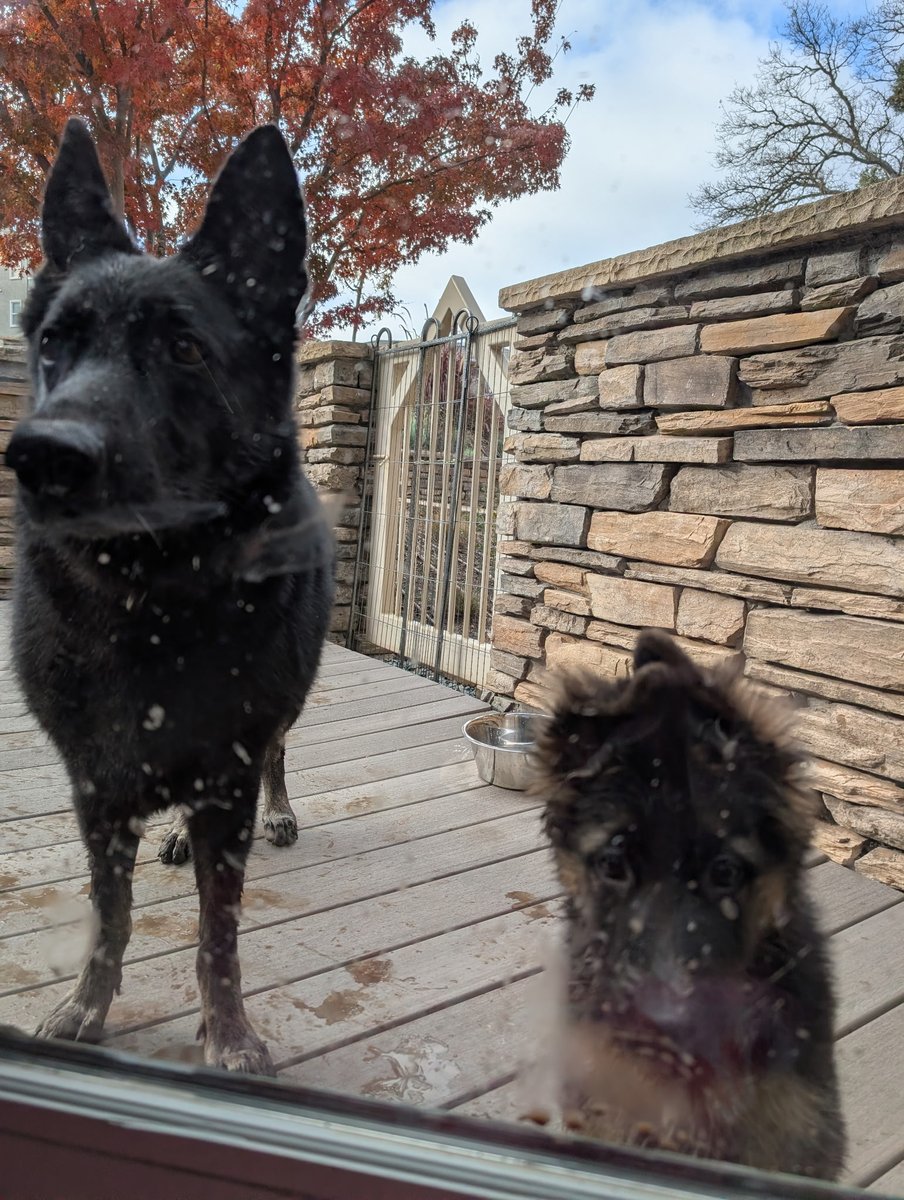 David 'JoelKatz' Schwartz tweet media