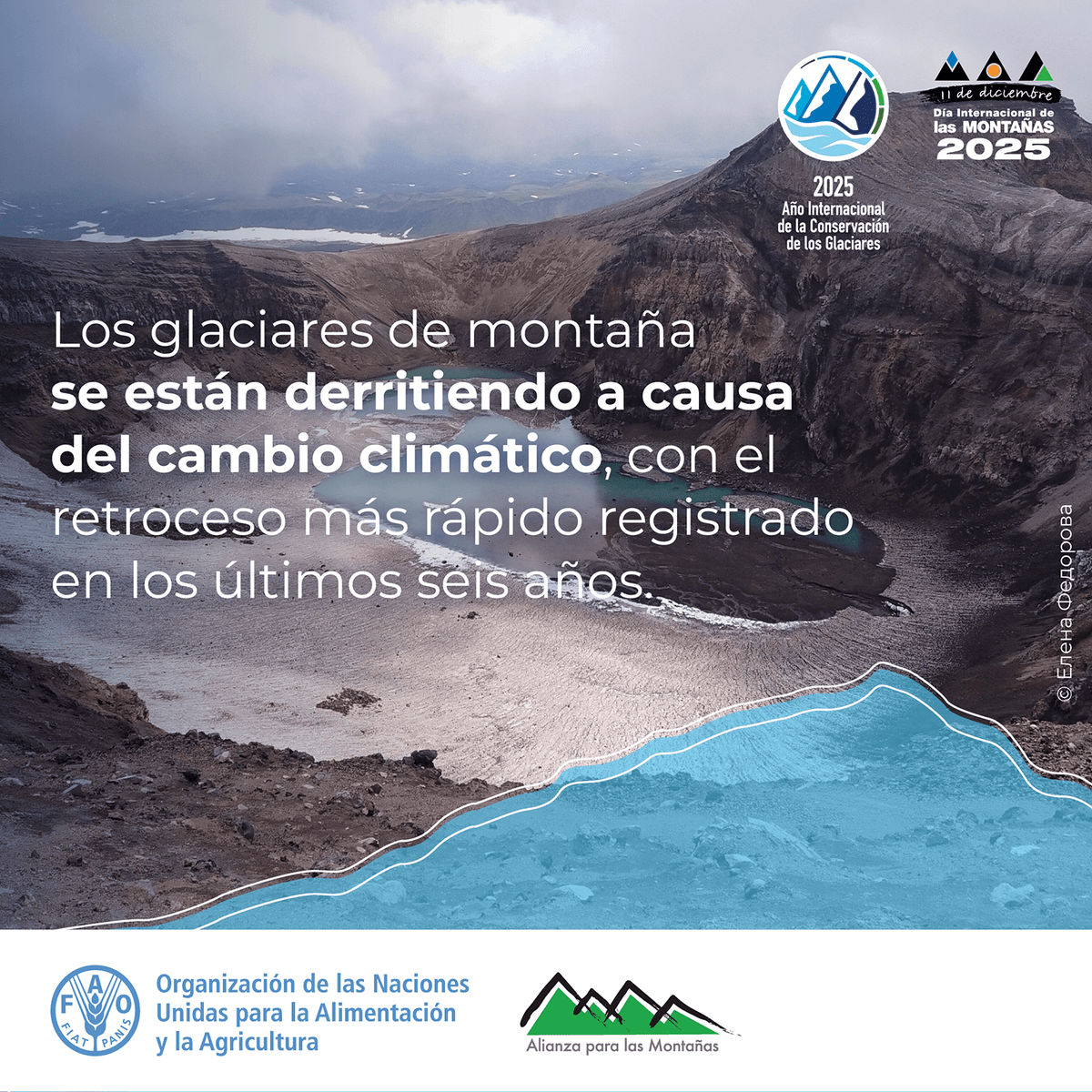 FAOEcuador's tweet photo. Las montañas almacenan una de las mayores reservas de agua dulce del planeta. Hoy, el calentamiento global acelera la pérdida de hielo y compromete el equilibrio de ecosistemas clave para la alimentación, la biodiversidad y la resiliencia climática. #DíaDeLasMontañas https://t.co/hQwPyR2WjD