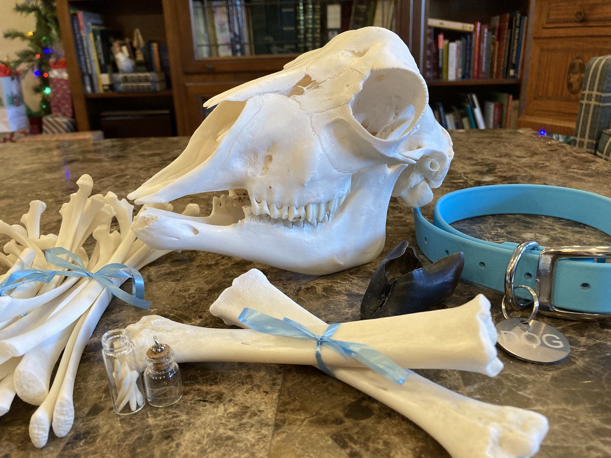 🪦 Lamb 🪦 tweet media