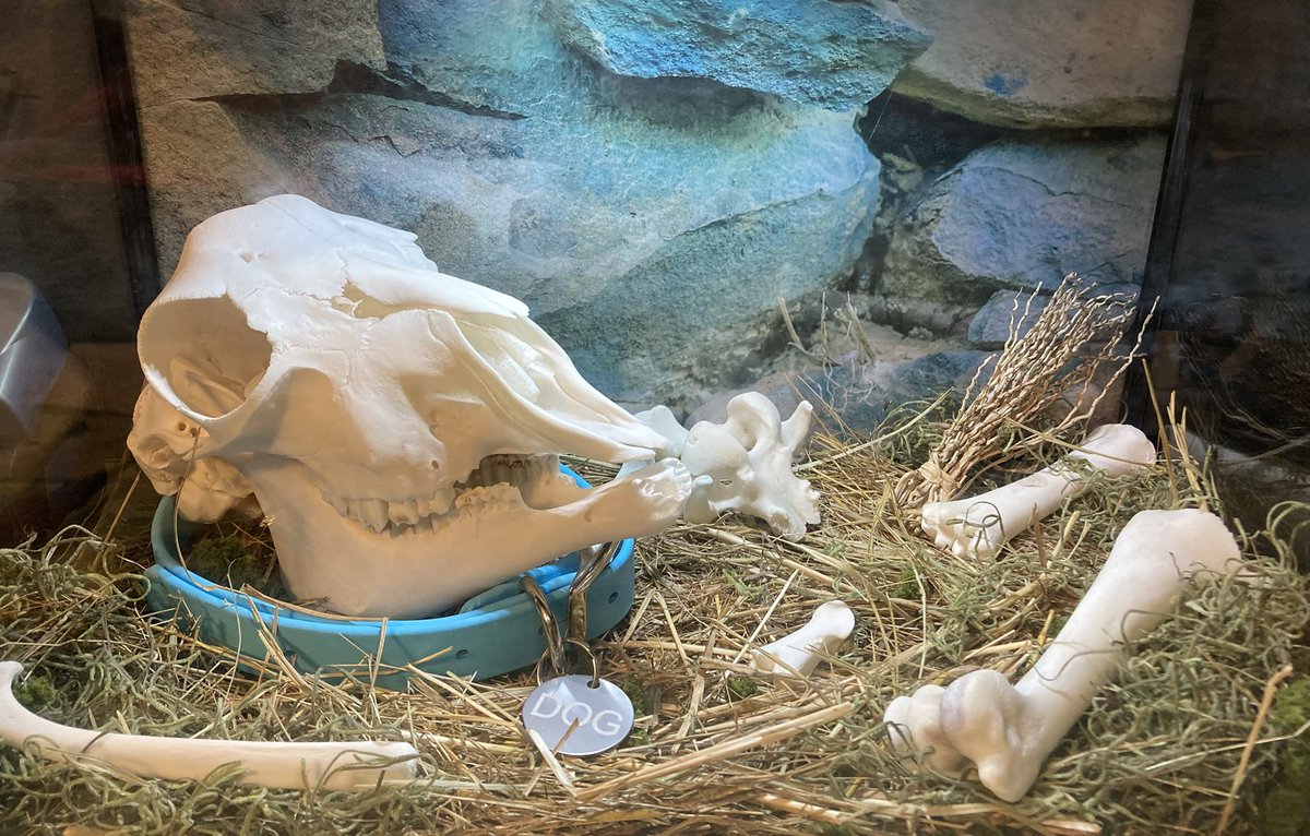 🪦 Lamb 🪦 tweet media