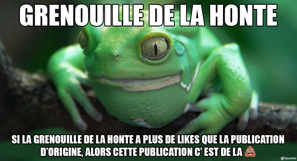 Nain_Portekoi's tweet image. 