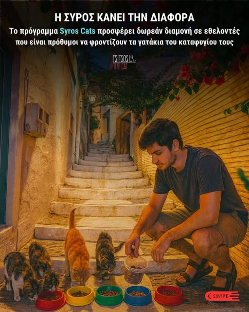 Apopsy Syrou News (@apopsysyrou) on Twitter photo 