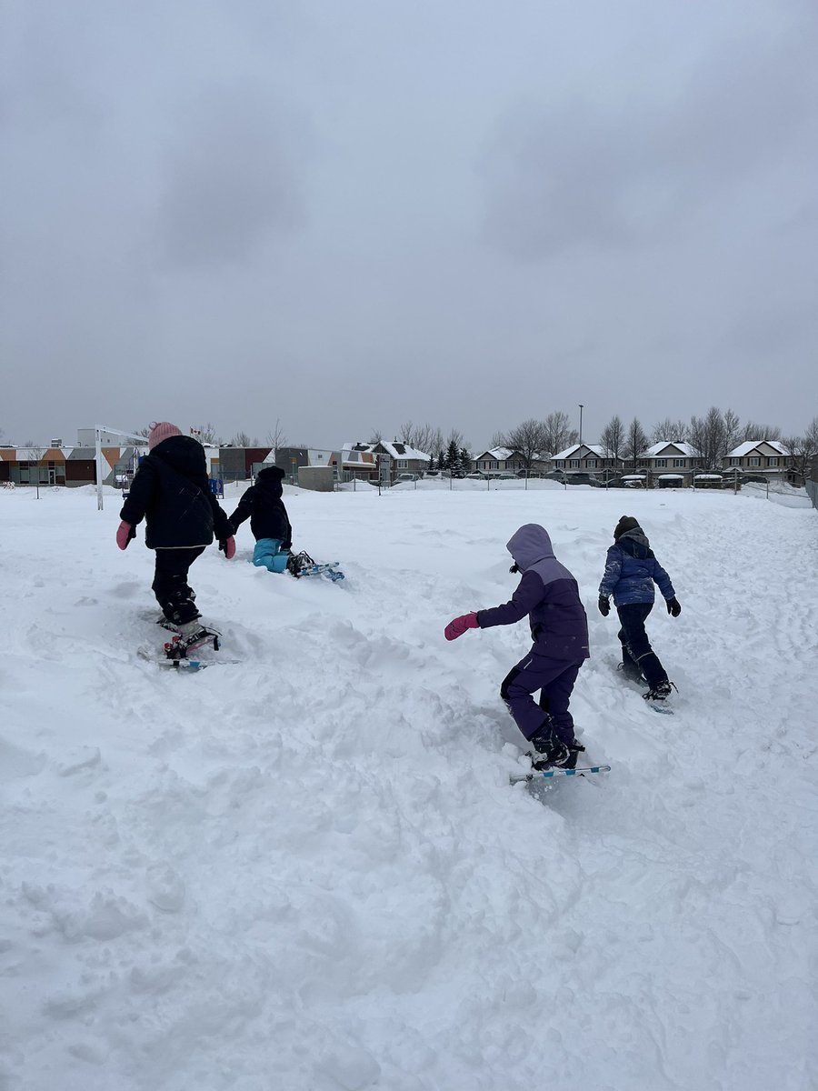 Mrs. Rowe tweet media