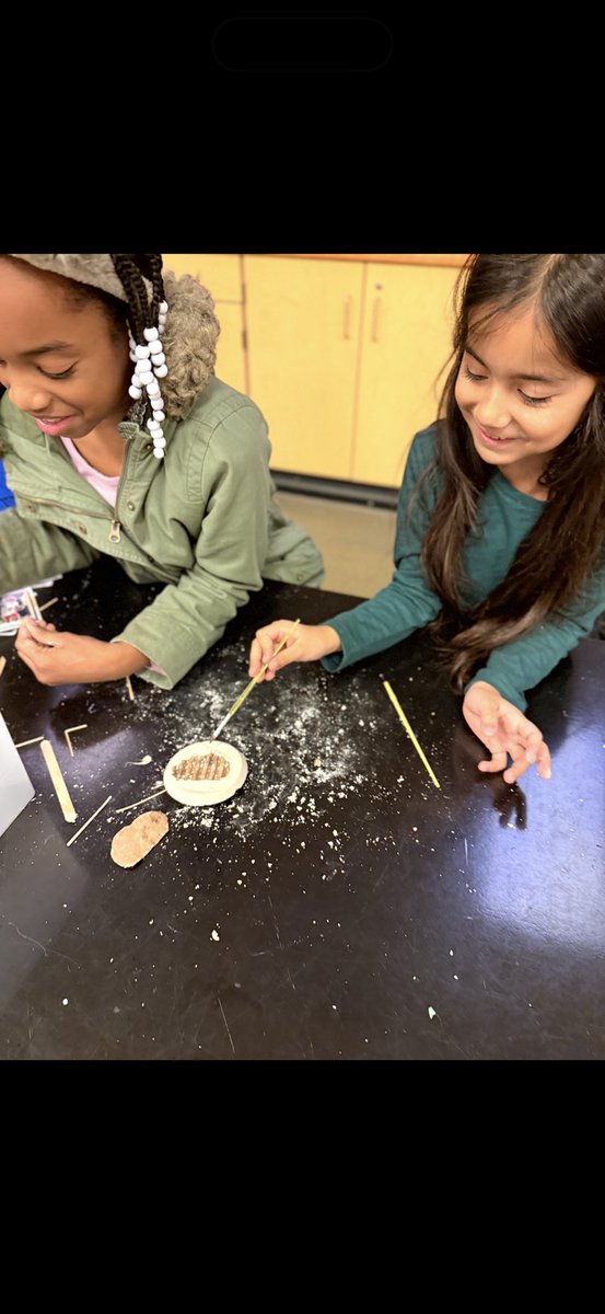 Brandi Hazelwood tweet media