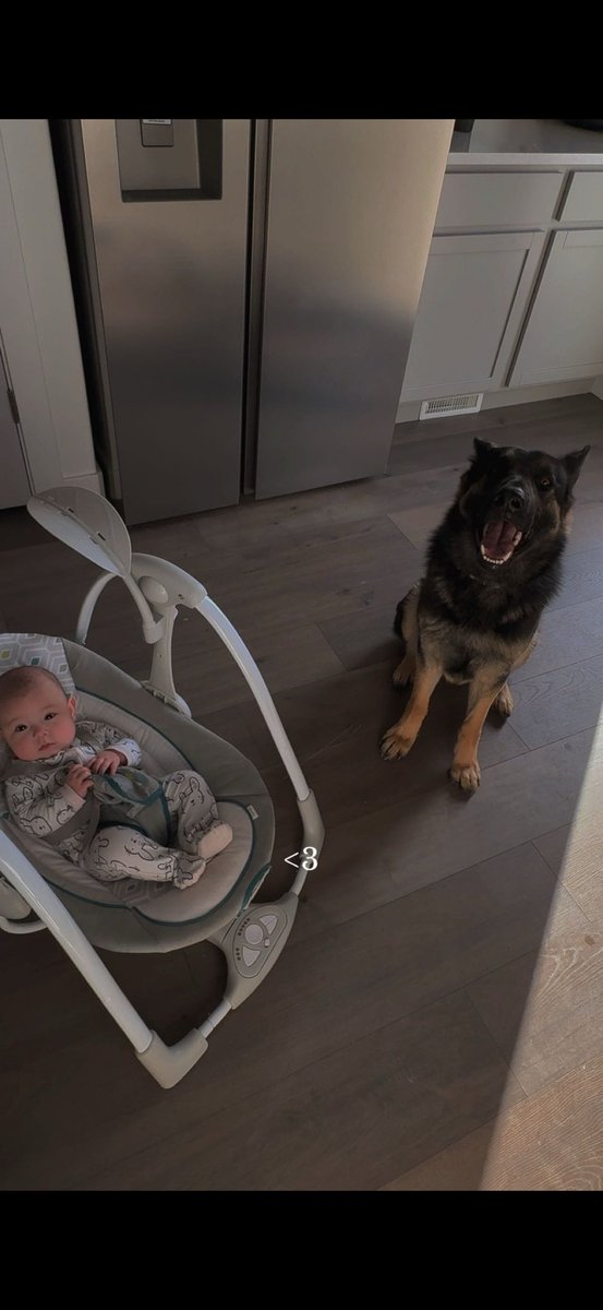 OxyAres (Jake) tweet media