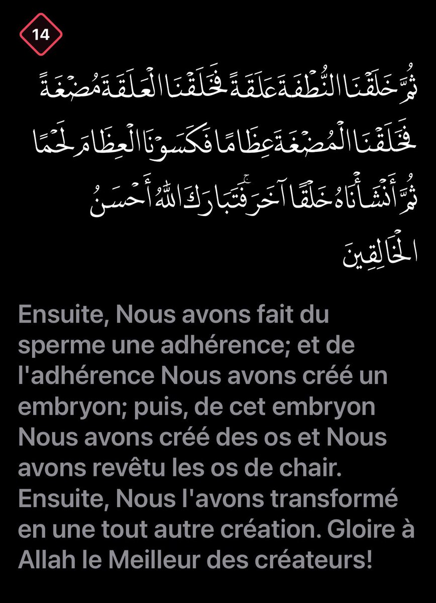 ᥫ᭡ tweet media
