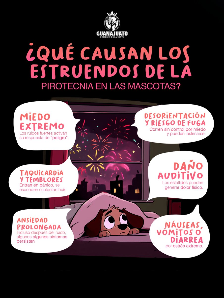¡Ellos te agradecen que no uses pirotecnia! 🐶🐱🎄

La pirotecnia puede afectar seriamente a las mascotas, su oído es más sensible y el fuerte ruido de los cohetes les provoca miedo y ansiedad, lo que incluso puede hacer que huyan o se lastimen.

Celebremos con responsabilidad.