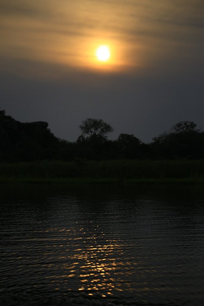 This is a beautifully serene &amp; atmospheric view. 

The sun hangs low in the sky, casting a warm golden glow that reflects shimmering ripples across the calm water. 
The view feels peaceful &amp; almost mystical, with the dark silhouettes of trees to reflect the day

A beautiful night