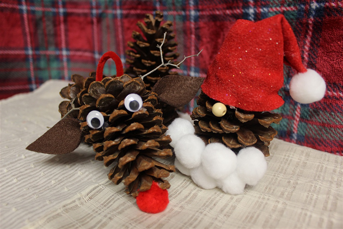 Oh deer, have we got a cute holiday craft for you! If you're looking for ideas to get your family outdoors and have some fun on a budget, head out to one of Arlington's parks to collect pine cones you can use in our festive reindeer ornament craft 🦌⬇️ 
bit.ly/4oQv5EW