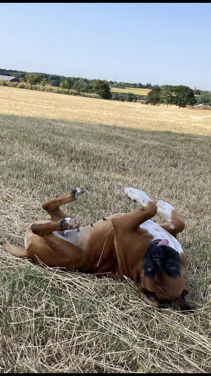 lucky888.eth tweet media