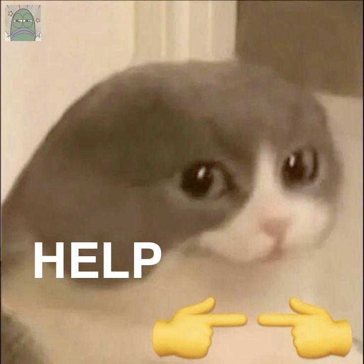 Tanyarlfes tweet media