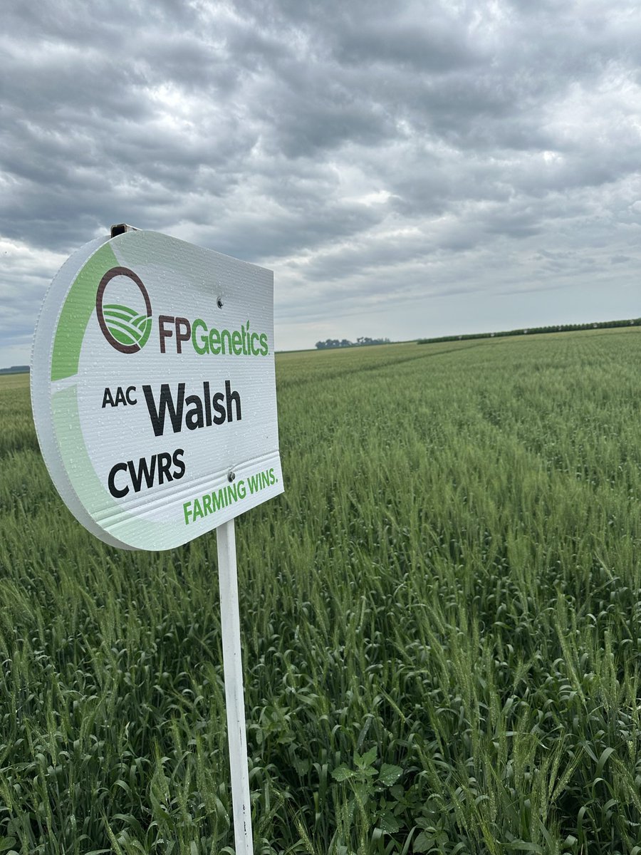 LD Seeds tweet media