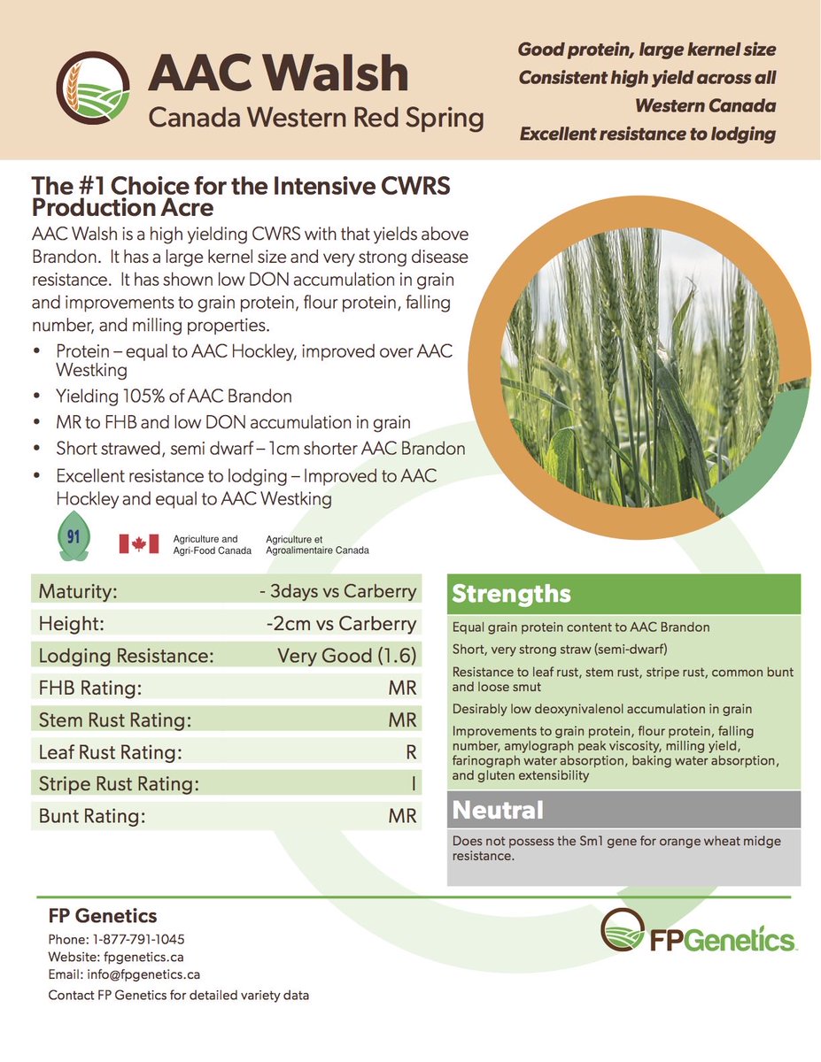 LD Seeds tweet media