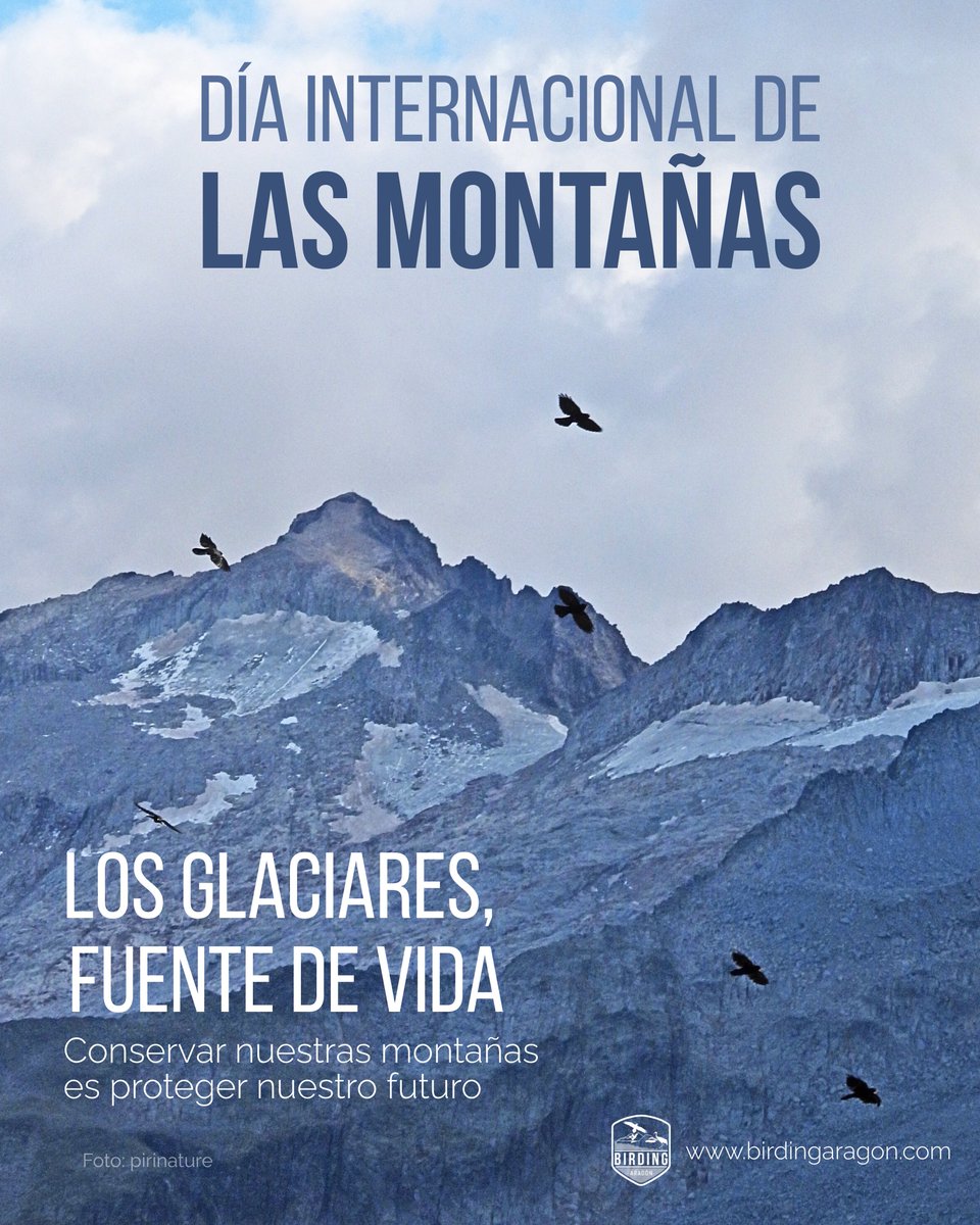 🦅En Birding Aragón celebramos el 🗻 #DíaInternacionaldelasMontañas recordando el papel vital de nuestros #glaciares 🩵 d
🤍En #BirdingAragón trabajamos por un ecoturismo responsable que apuesta por la conservación de estos ecosistemas, frágiles y excepcionales.