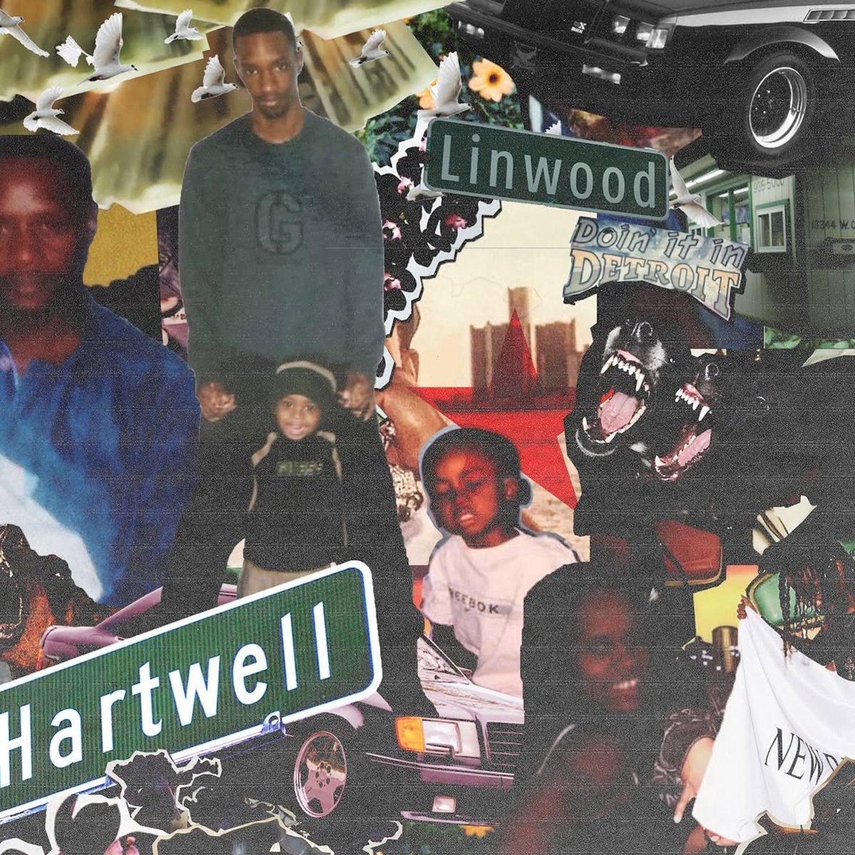 OnThinIce tweet media