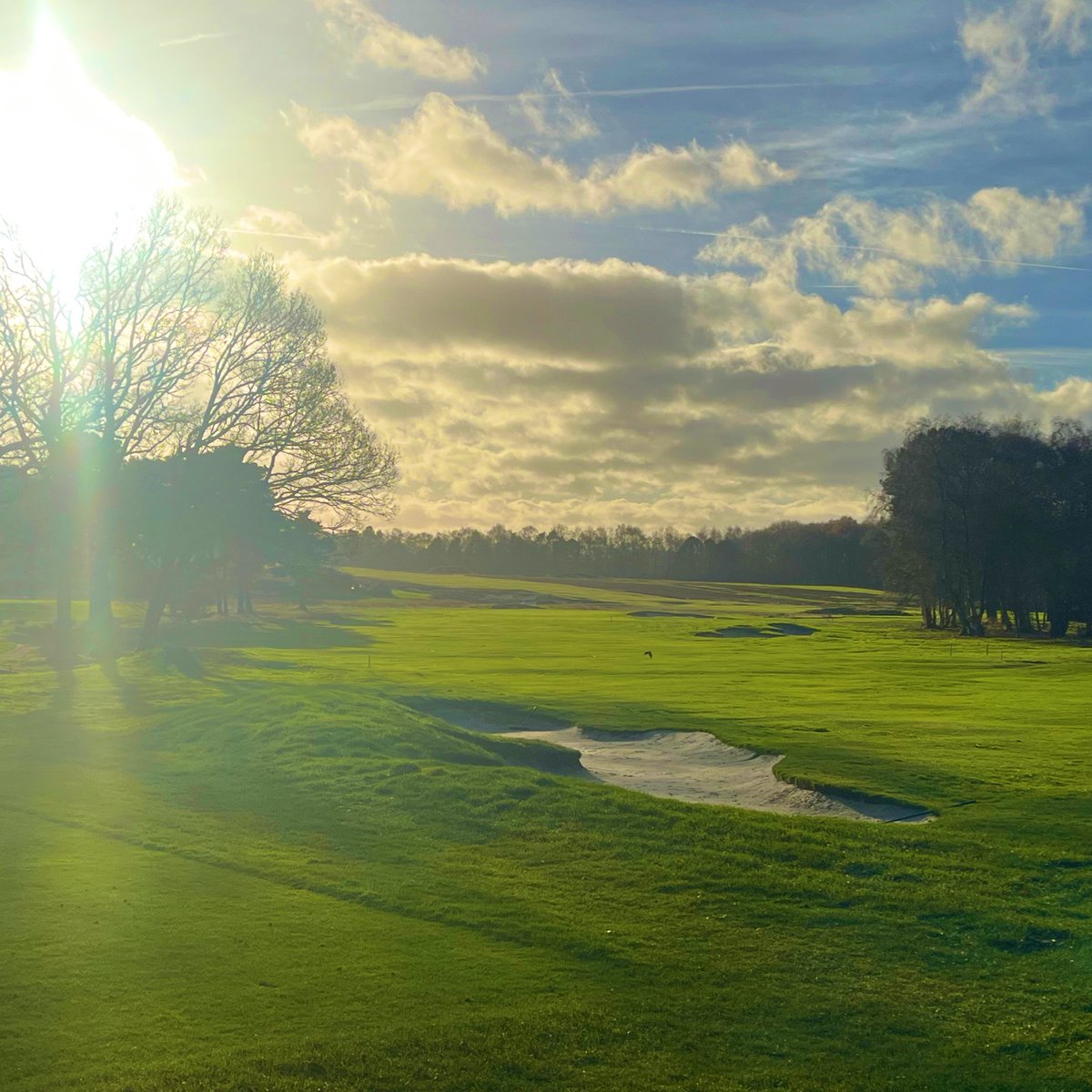 Alex Perry tweet media