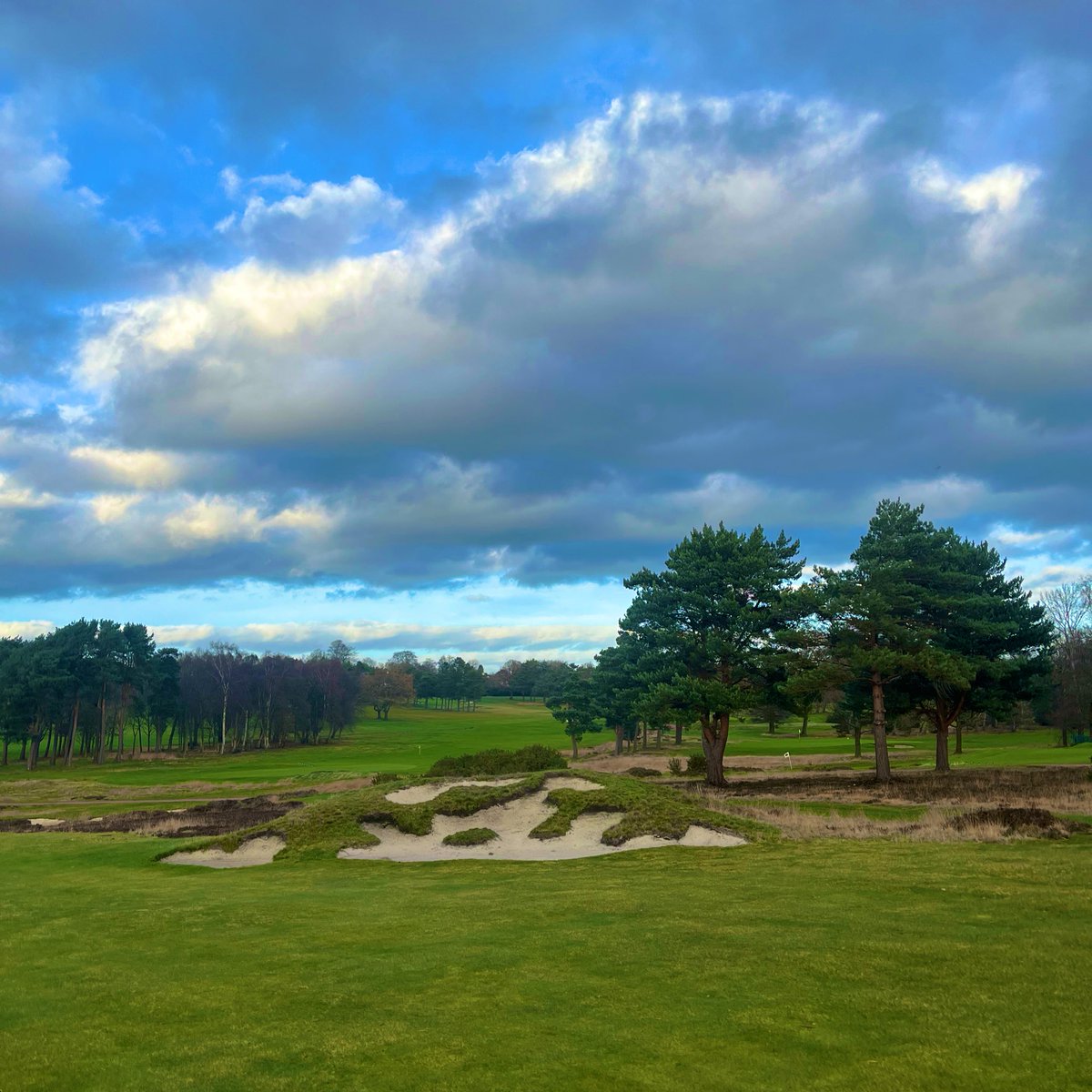 Alex Perry tweet media