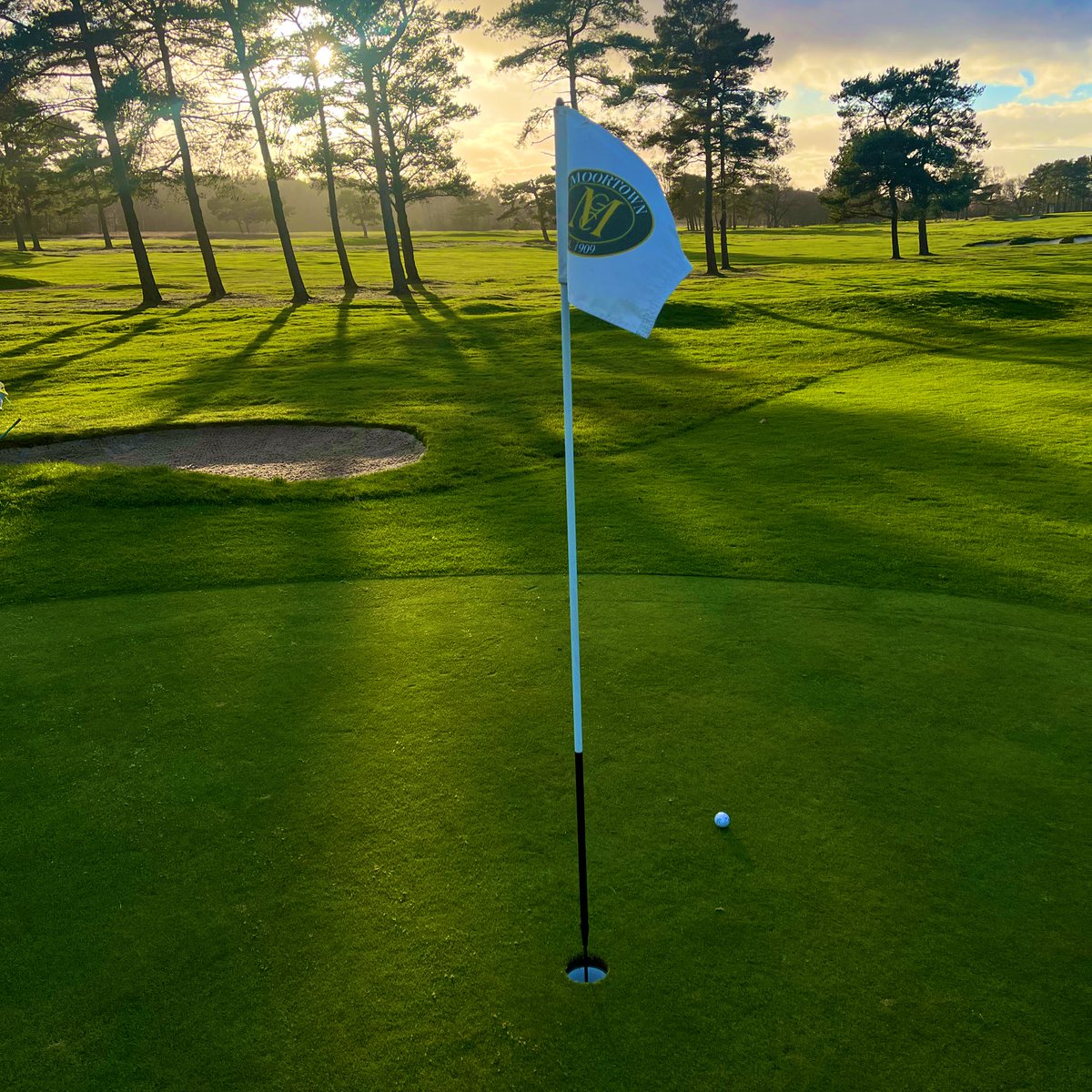 Alex Perry tweet media