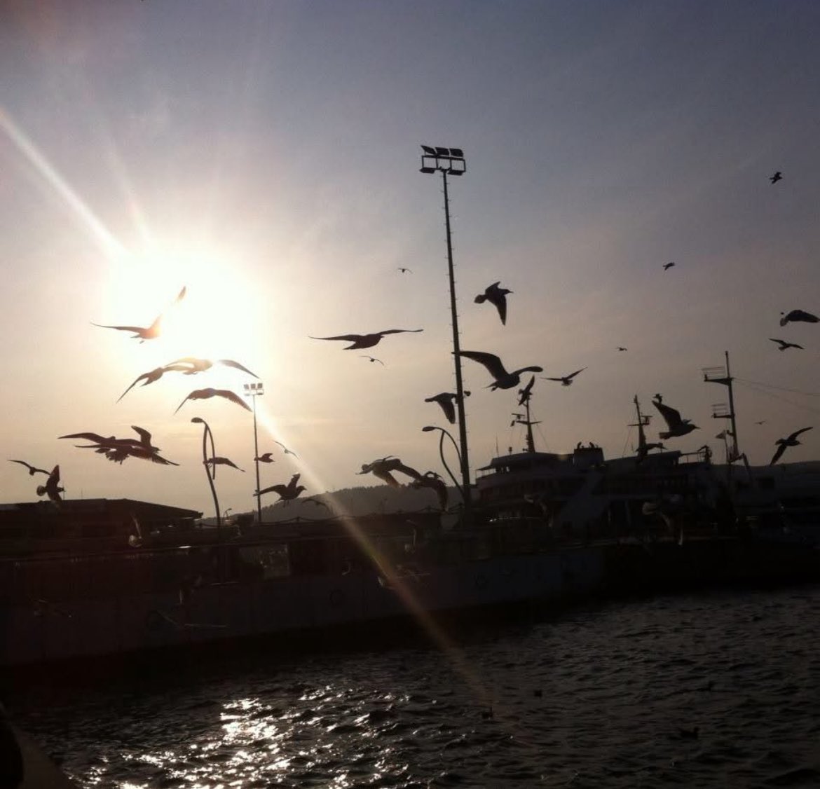 “Değerinizi bilmeyen insanlar için boşa mücadele etmeyin. Onları layık oldukları insanlara bırakın ve sakın arkanıza bakmayın.” demiş Can Yücel

#iyigeceler