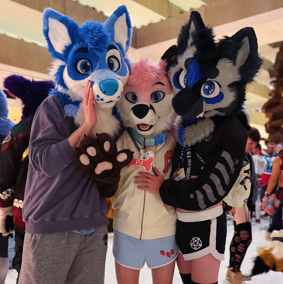 Yap yap bark! 💙🩷💙

<a href="/northernbluefox/">North</a> 🦊
<a href="/fuzzymylo/">Mylo</a> 🐶

#furry #fursuit #fursuiting #FurFest #MFF2025
