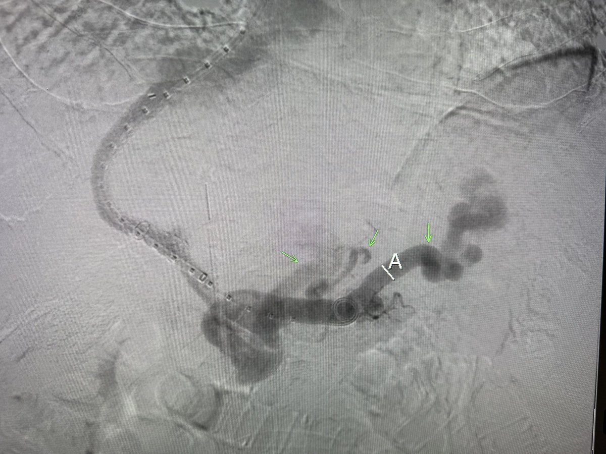 Harris Chengazi tweet media