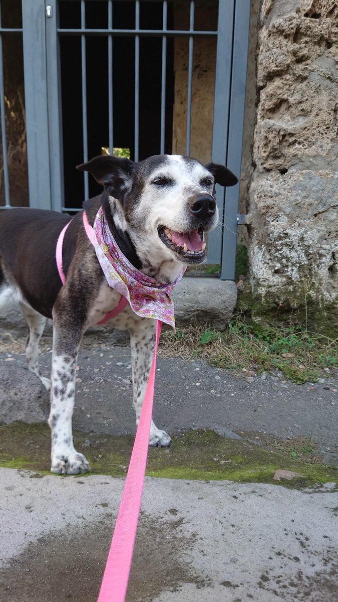 Luis David Apodaca tweet media