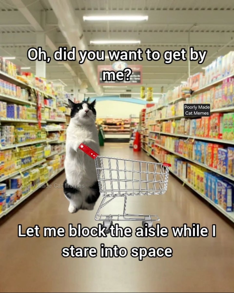 🤣🤣🤣🤣🤣🤣