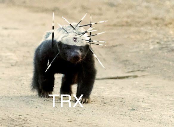 Crypto Guy In South Africa tweet media