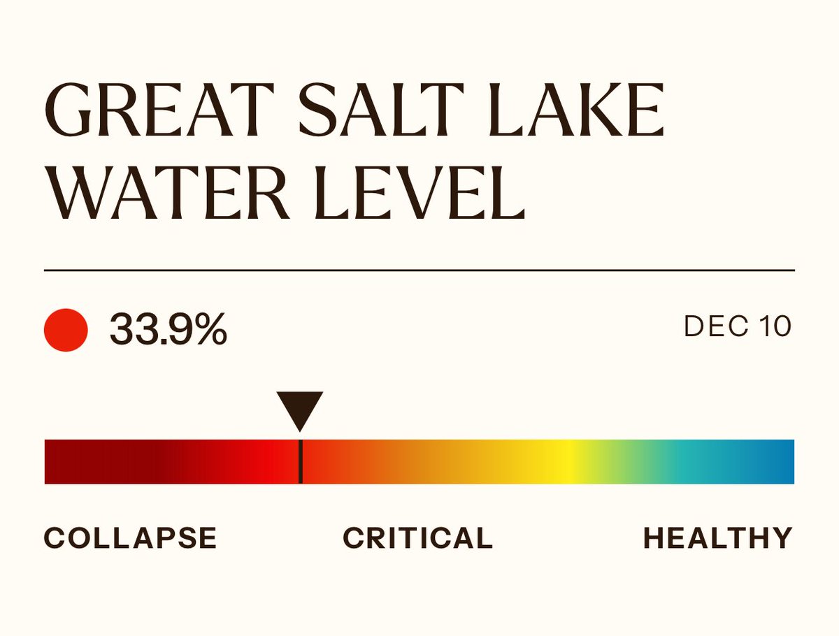 Grow the Flow tweet media