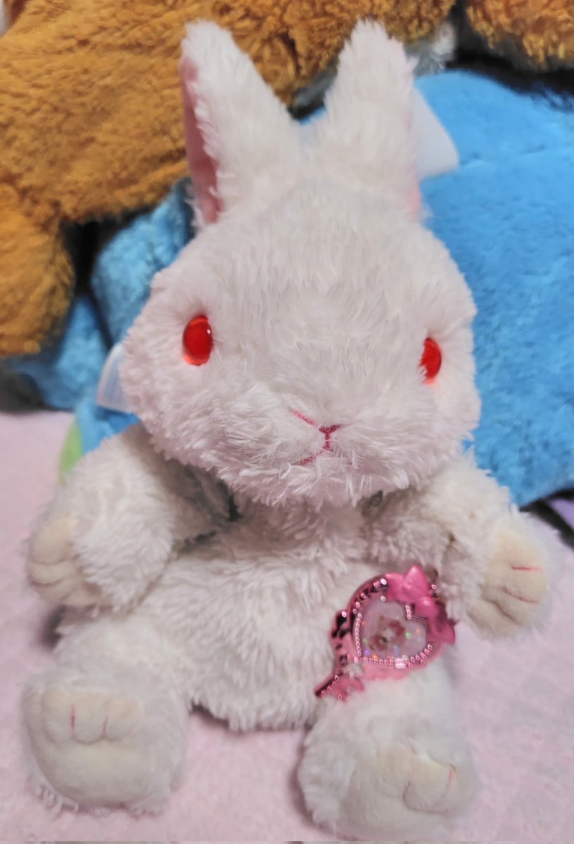 うさぎのぬいぐるみ