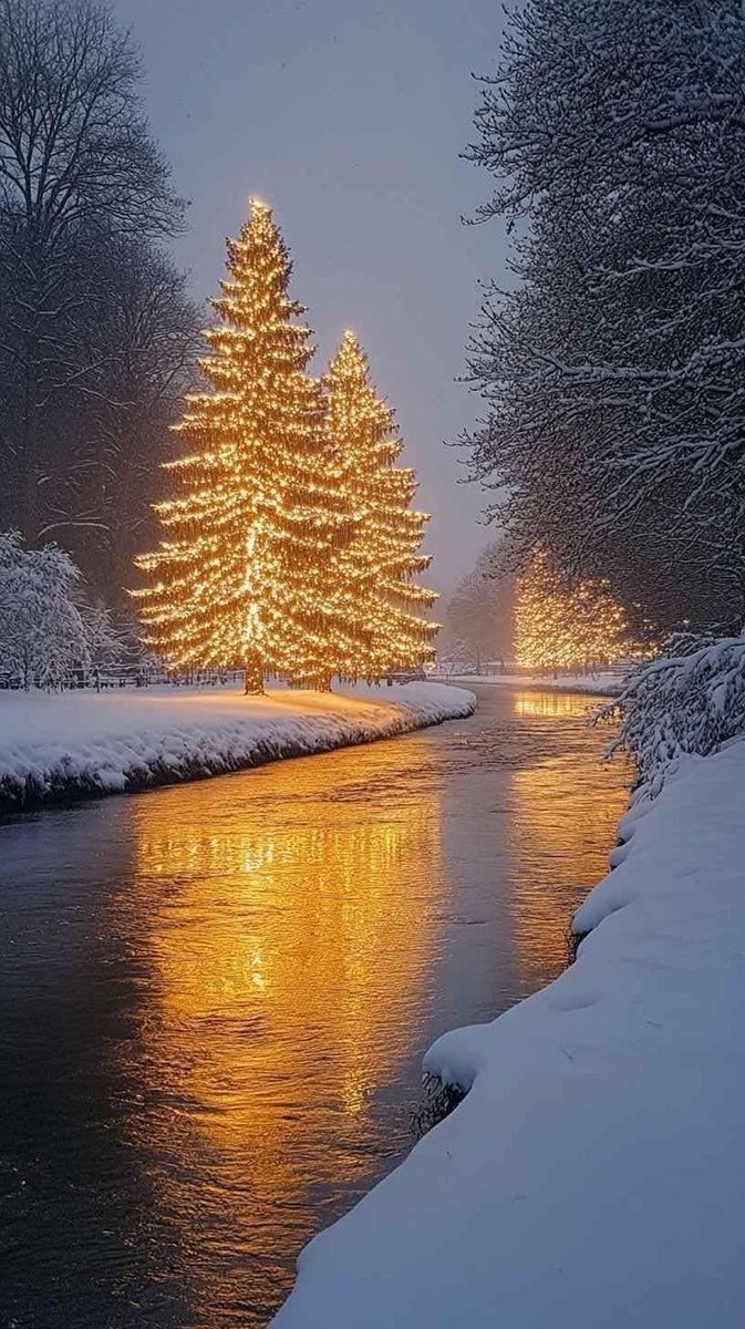 Earth Pictures tweet media