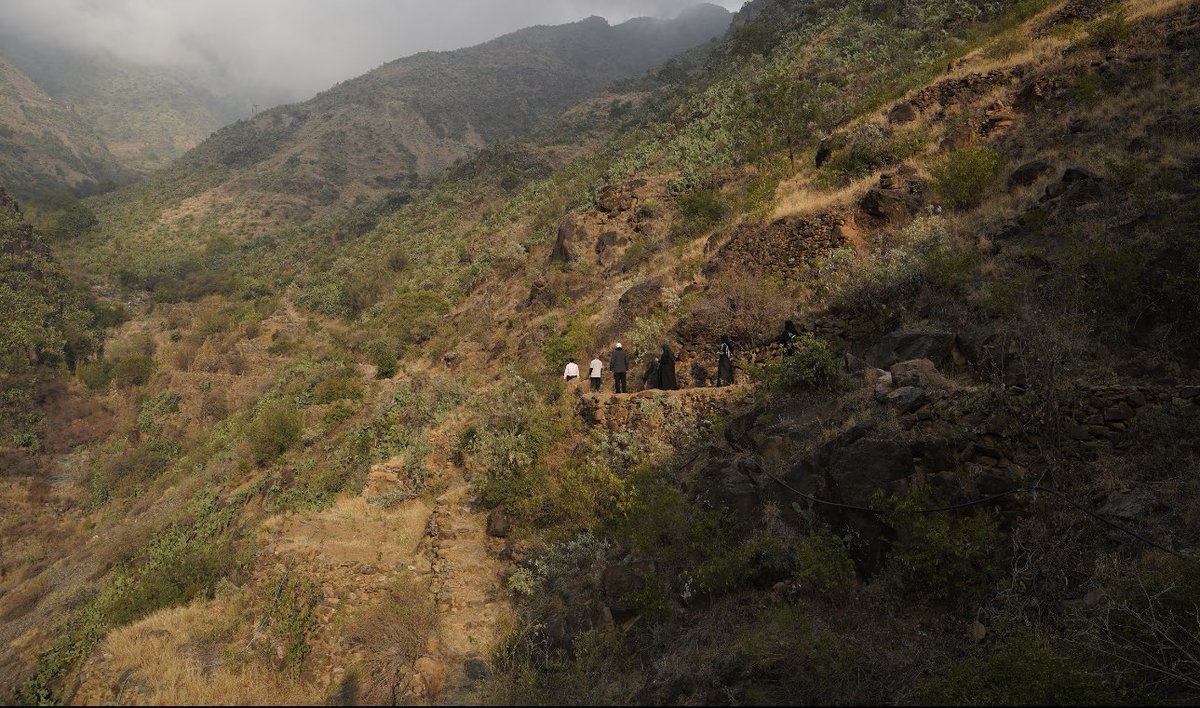 الجمعية الجغرافية السعودية (فرع منطقة عسير) tweet media