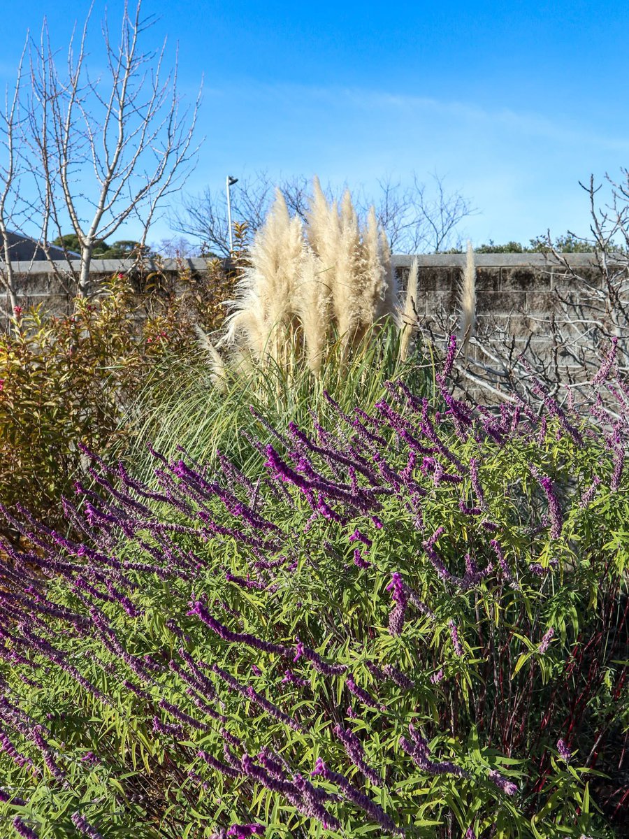 Norfolk Botanical Garden tweet media
