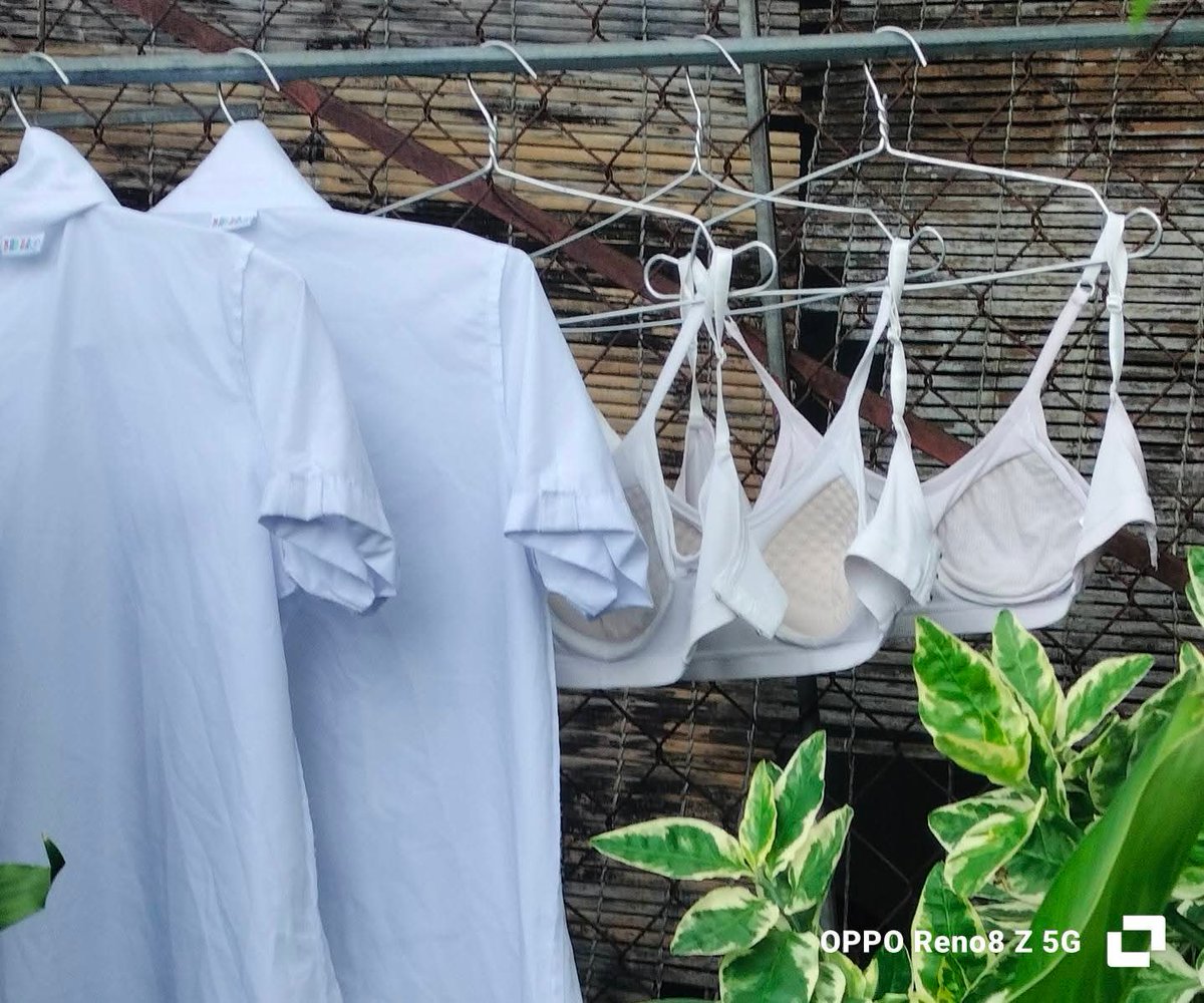 thân_đèn tweet media