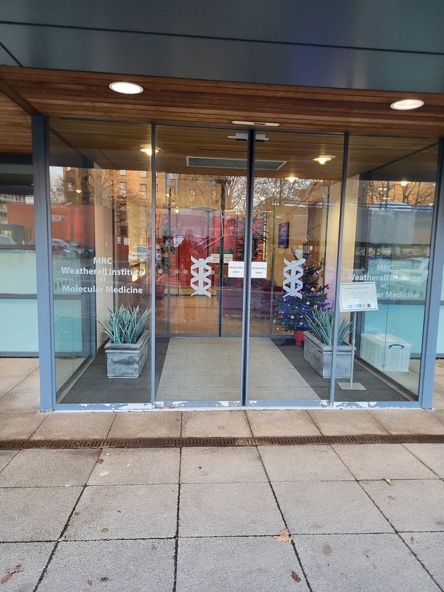 Lucas Pontel tweet media