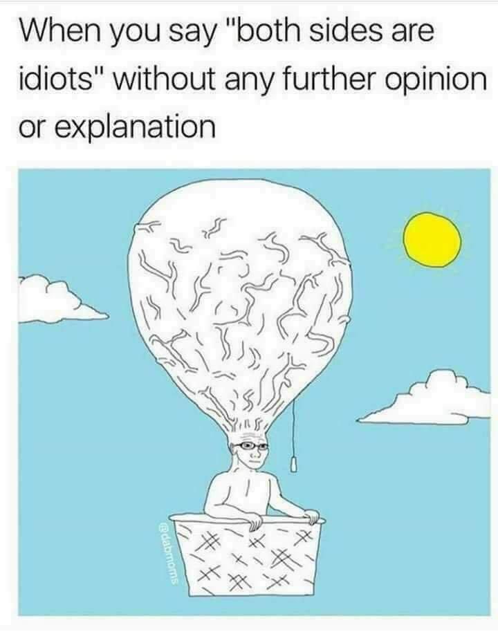 Ten jeden "centrysta", który mówi ci że jesteś tak samo radykalny i odklejony jak Braun ale w drugą stronę (jesteś zwykłym soclibkiem xD)