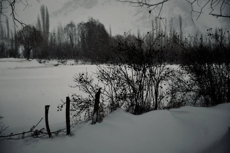 ⋆.ೃ࿔*:･𝖇𓆩♡𓆪˖*°࿐ (@niphrediill) on Twitter photo 