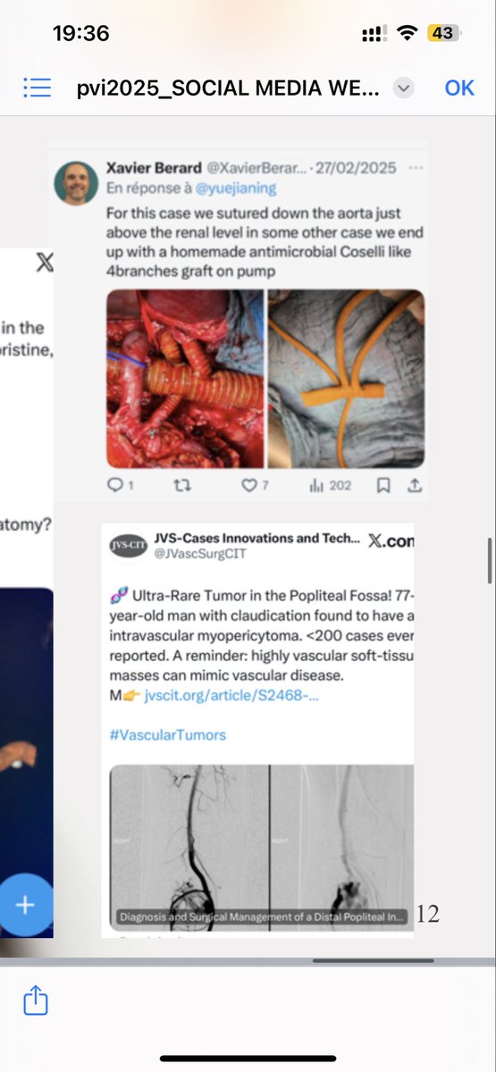 Claire Elizabeth tweet media