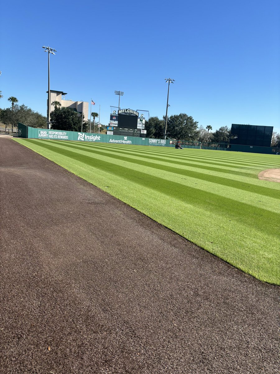 Anthony DeFabbia tweet media