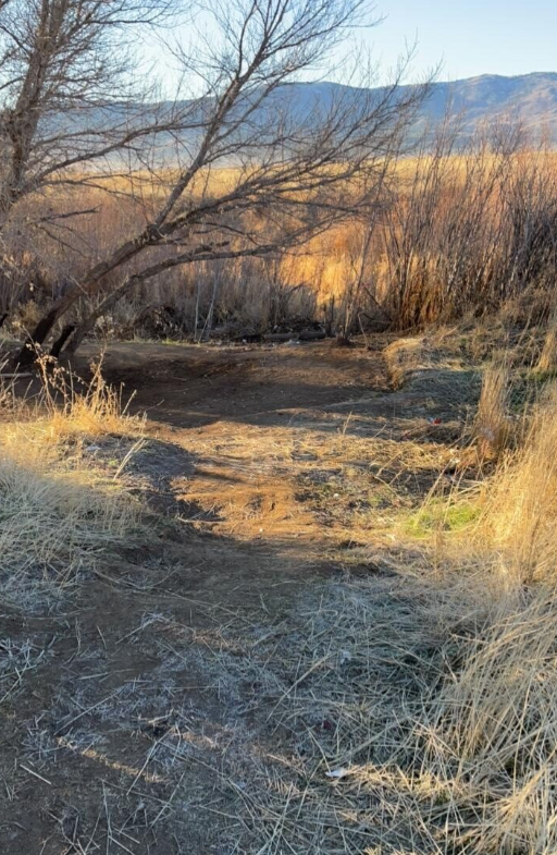 Keeping our highways and communities safe! 🚧
Crews recently cleaned state property near SR-36/Riverside Dr. in Susanville, removing ~30 cubic yards of litter and debris. Local partners also connected impacted individuals with services. <a href="/CaltransHQ/">Caltrans HQ</a>
